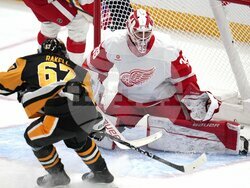 Red Wings Penguins Hockey