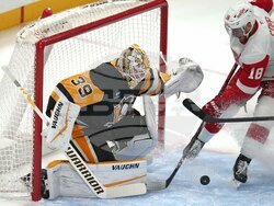 Red Wings Penguins Hockey