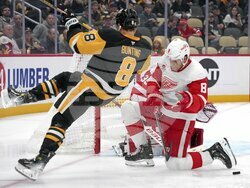Red Wings Penguins Hockey