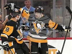 Red Wings Penguins Hockey