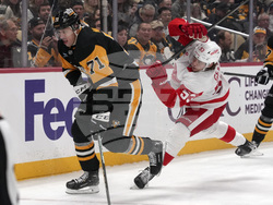 Red Wings Penguins Hockey