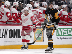 Red Wings Penguins Hockey