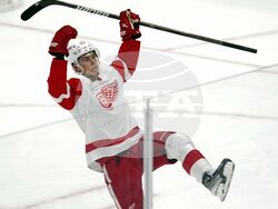 Red Wings Penguins Hockey