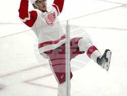 Red Wings Penguins Hockey