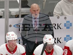 Red Wings Penguins Hockey