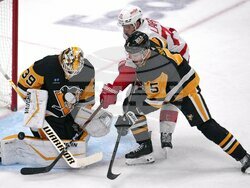 Red Wings Penguins Hockey