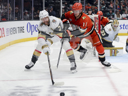 Golden Knights Ducks Hockey