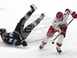 Hurricanes Utah Hockey