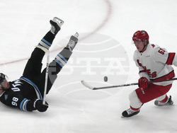 Hurricanes Utah Hockey