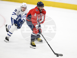 Maple Leafs Capitals Hockey