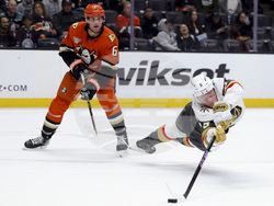 Golden Knights Ducks Hockey