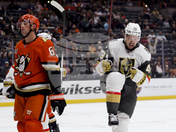 Golden Knights Ducks Hockey