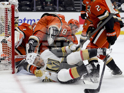 Golden Knights Ducks Hockey