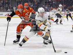 Golden Knights Ducks Hockey