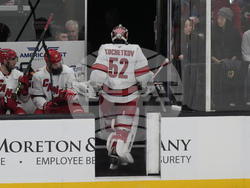 Hurricanes Utah Hockey