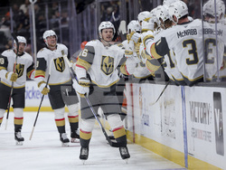 Golden Knights Ducks Hockey