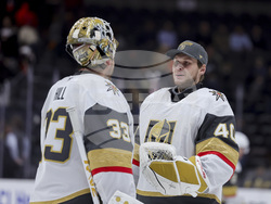 Golden Knights Ducks Hockey