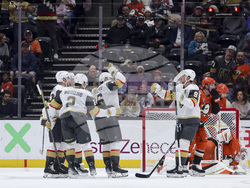Golden Knights Ducks Hockey