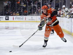 Golden Knights Ducks Hockey