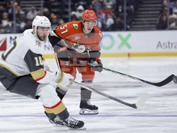 Golden Knights Ducks Hockey
