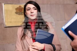 Конституционен съд - ПП-ДБ - внасяне на жалба - избори