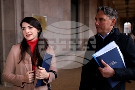 Конституционен съд - ПП-ДБ - внасяне на жалба - избори