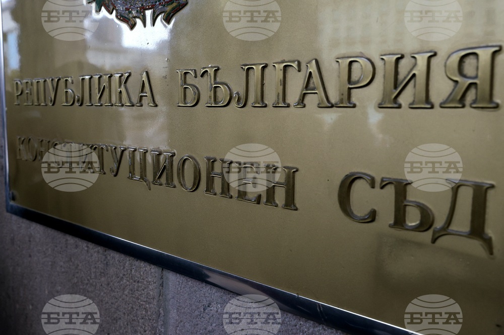 Конституционен съд - ПП-ДБ - внасяне на жалба - избори