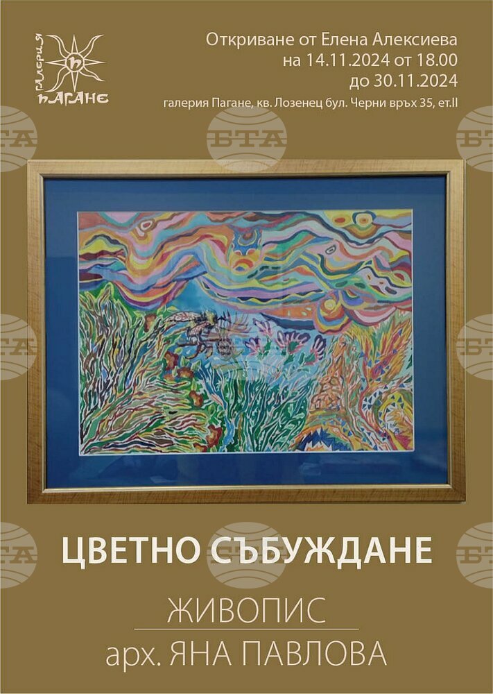 Арх. Яна Павлова подрежда изложба живопис в галерия „Пагане“