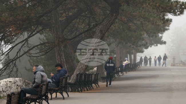 Протестиращите студенти в Сърбия обявиха, че ще се борят за всеки глас на частичните местни избори в неделя 