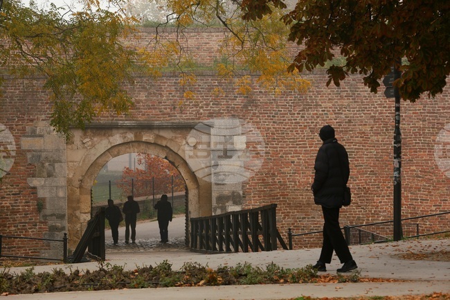 Реакции след анализа на Руската разузнавателна служба, в който се твърди, че ЕС подготвя "майдан" в Сърбия 
