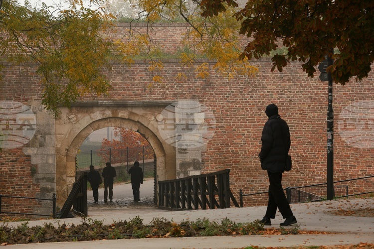 Reports of Threats and Attacks against Journalists in Serbia Must Be Investigated Impartially, Says Equality Commissioner