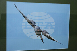 Хасково - „Птиците в България през очите на един поляк“ - изложба 