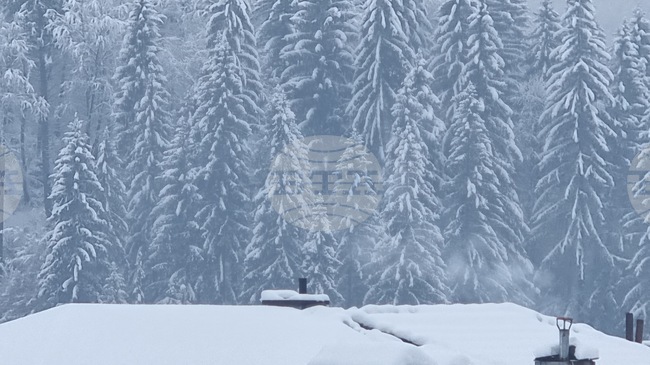 В планините е слънчево, но студено, туристите трябва да са добре екипирани, посочиха от Планинската спасителна служба на БЧК