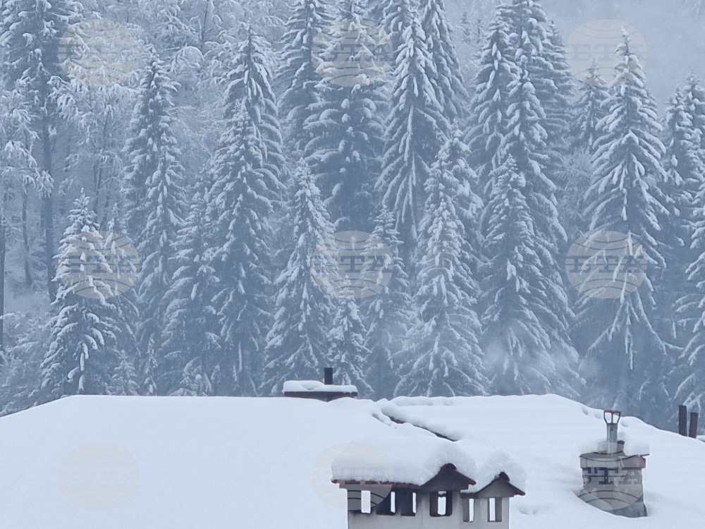 Mountain Rescue Service: Hikers Must Beware of Avalanches