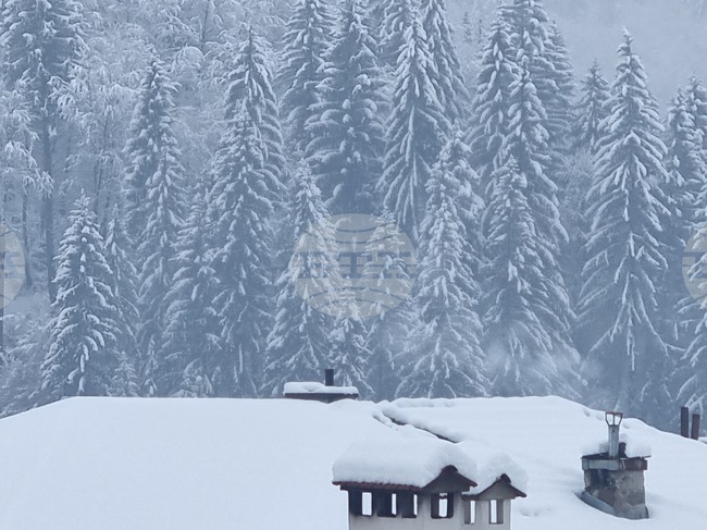 В планините е слънчево, но студено, туристите трябва да са добре екипирани, посочиха от Планинската спасителна служба на БЧК