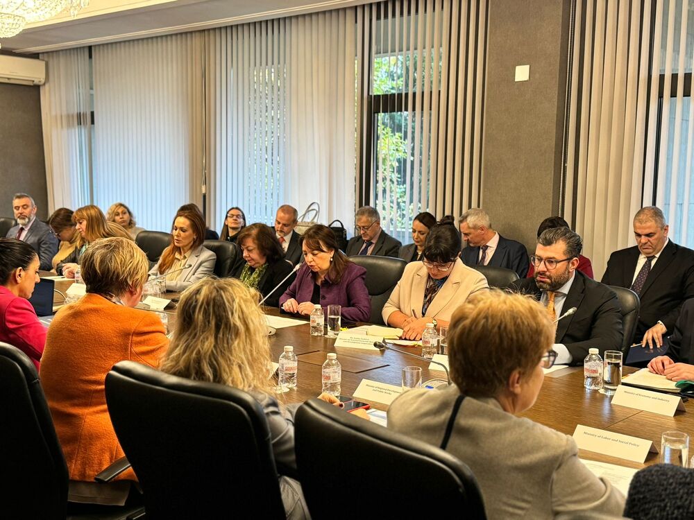 OECD Representatives Discuss Bulgaria's Accession