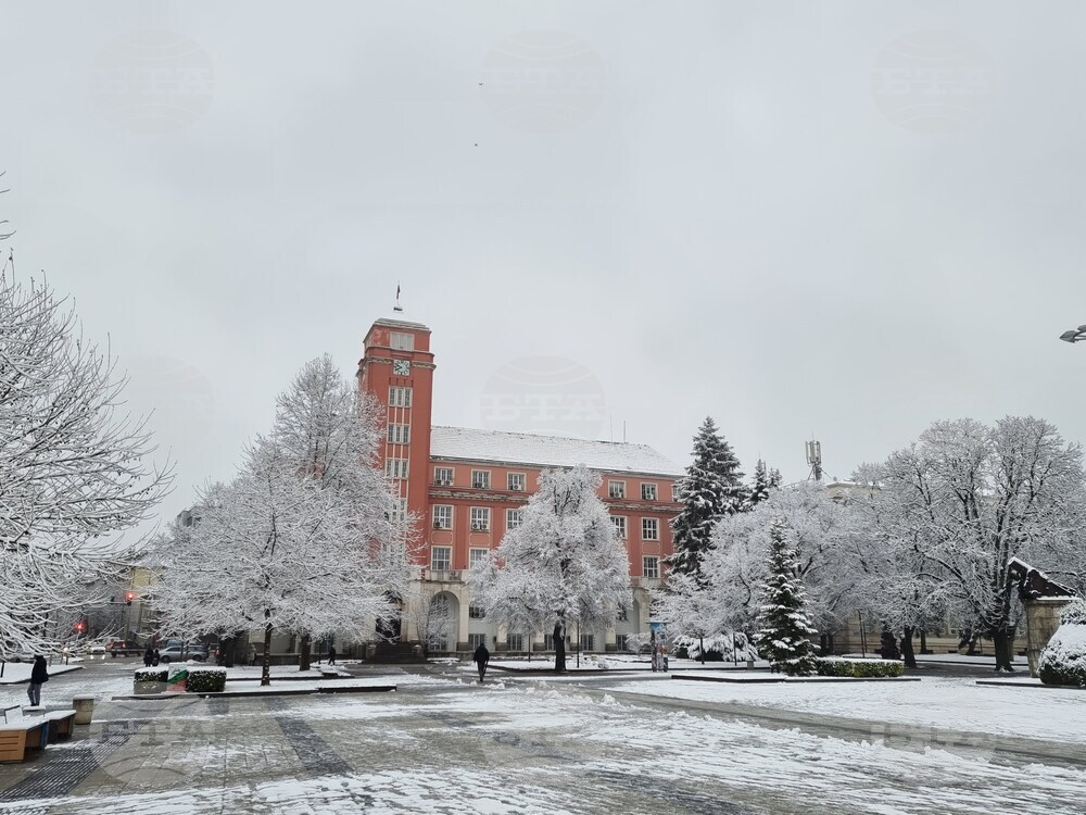 Плевен - сняг - почистване