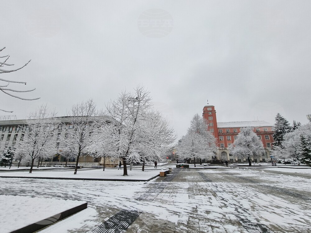 Плевен - сняг - почистване