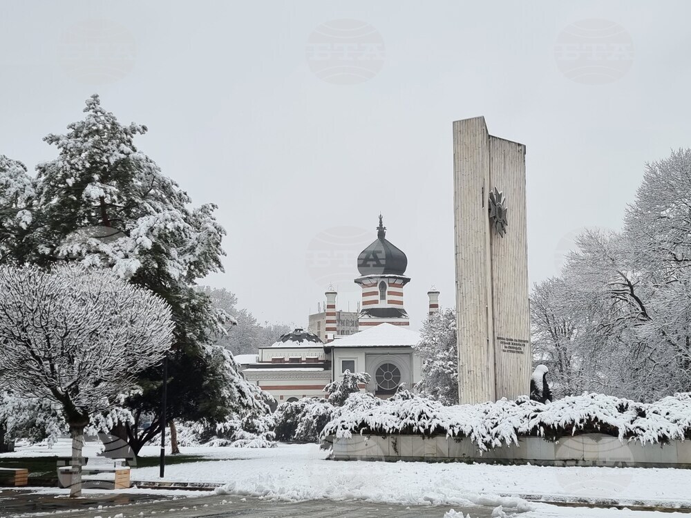 Плевен - сняг - почистване
