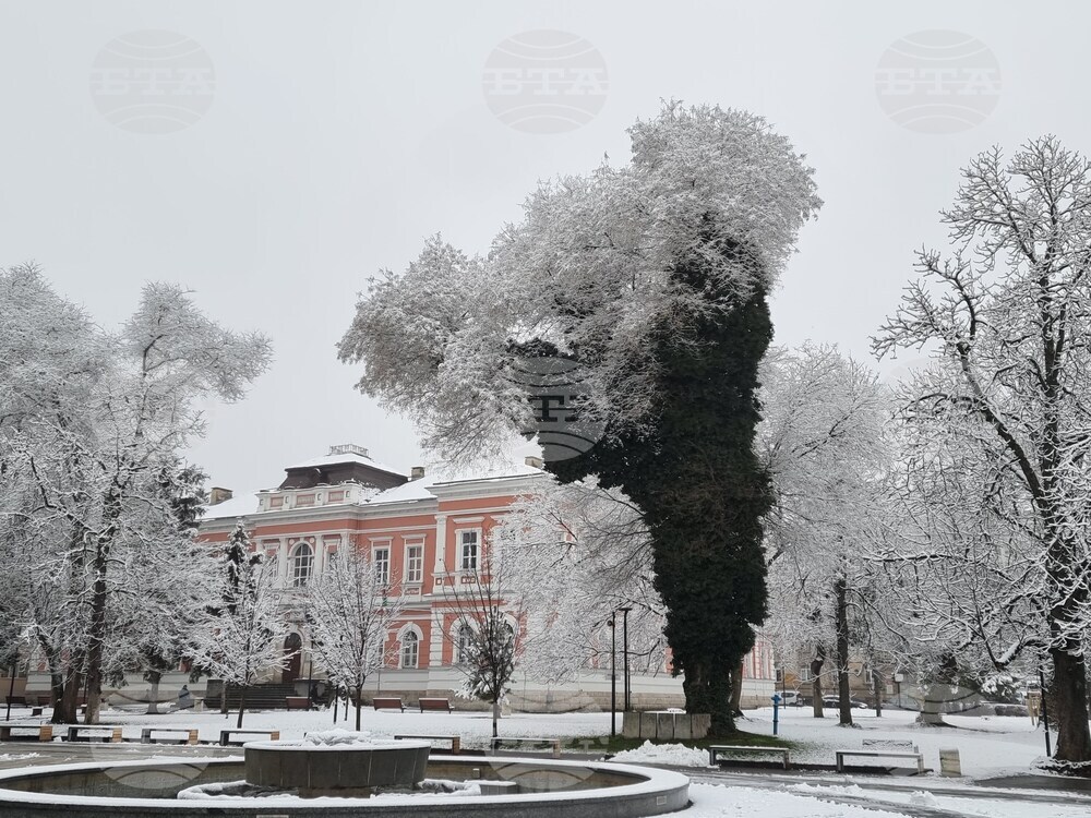 Плевен - сняг - почистване