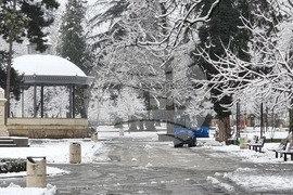 Плевен - сняг - почистване