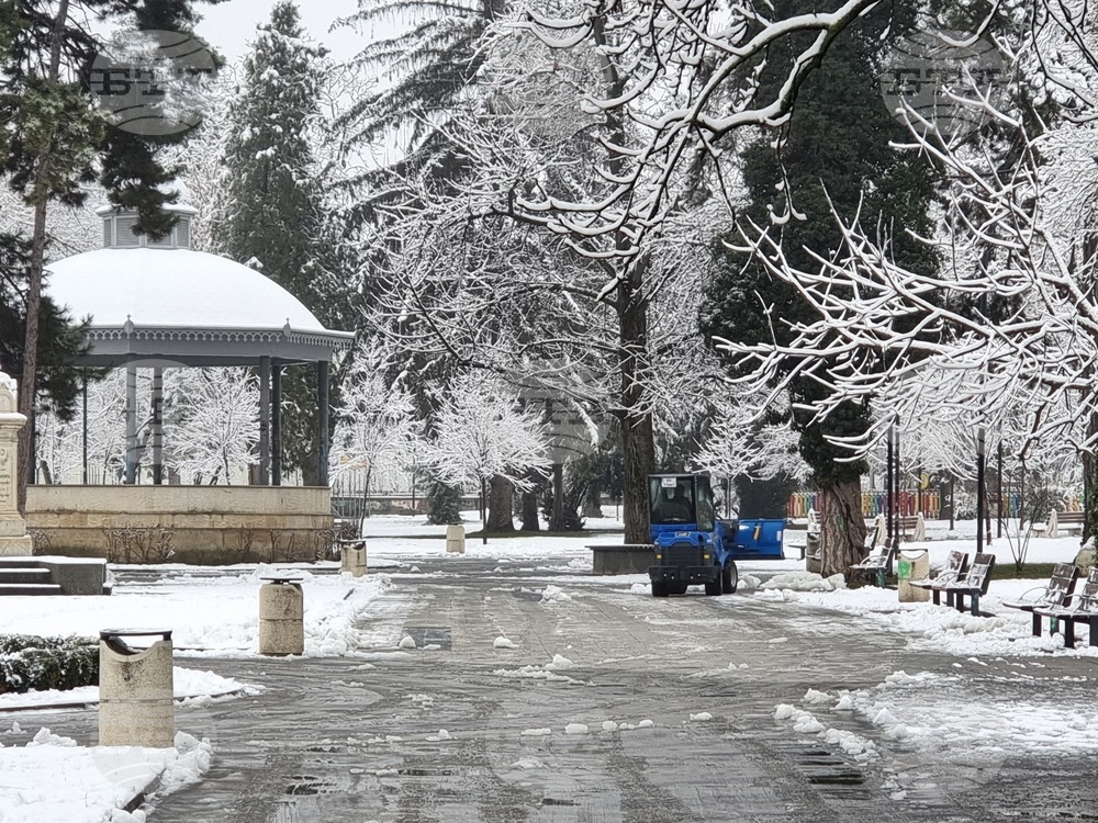 Плевен - сняг - почистване