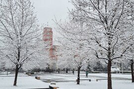 Плевен - сняг - почистване