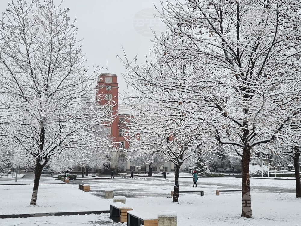 Плевен - сняг - почистване
