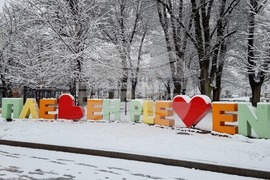 Плевен - сняг - почистване