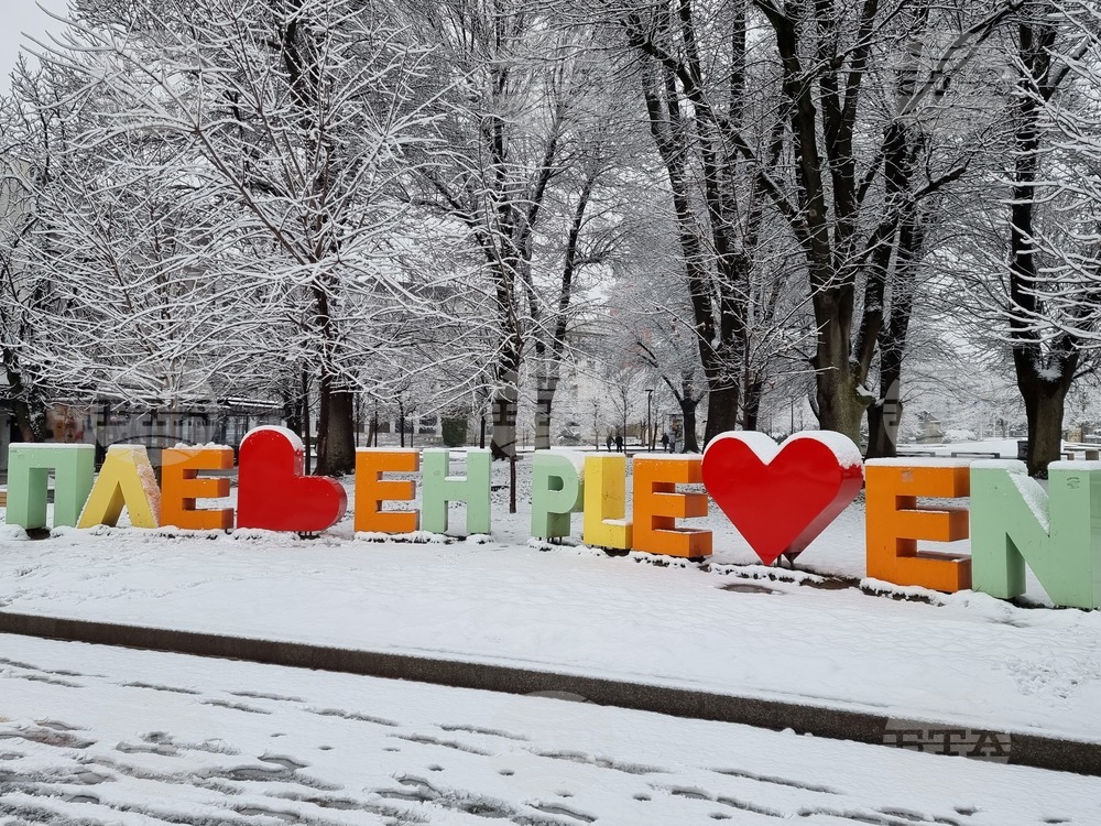 Плевен - сняг - почистване