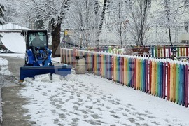 Плевен - сняг - почистване