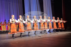 Плевен - "Златна монета Култура" - награди