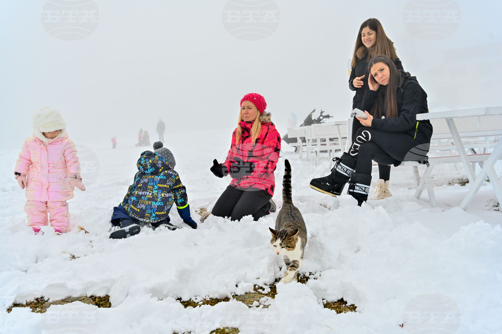 Парк Родопи - първи сняг