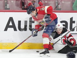 Devils Panthers Hockey